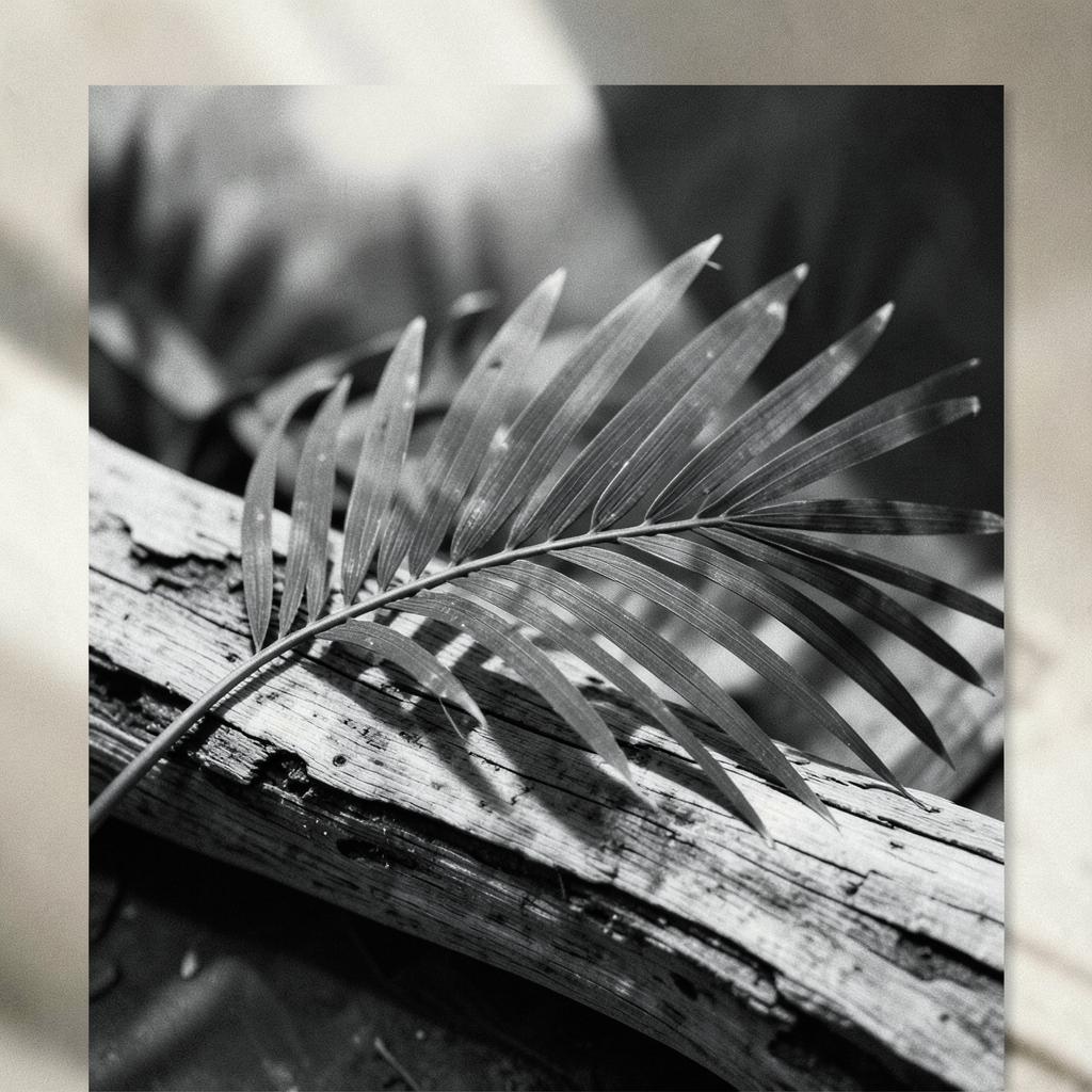 Palm Pulse